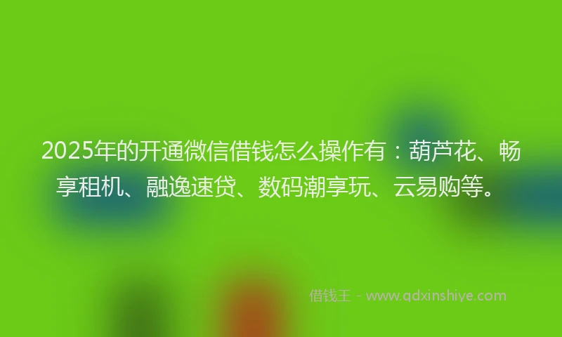 2025年的开通微信借钱怎么操作有：葫芦花、畅享租机、融逸速贷、数码潮享玩、云易购等。