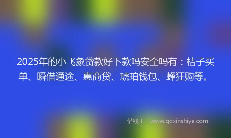 2025年的小飞象贷款好下款吗安全吗有：桔子买单、瞬借通途、惠商贷、琥珀钱包、蜂狂购等。
