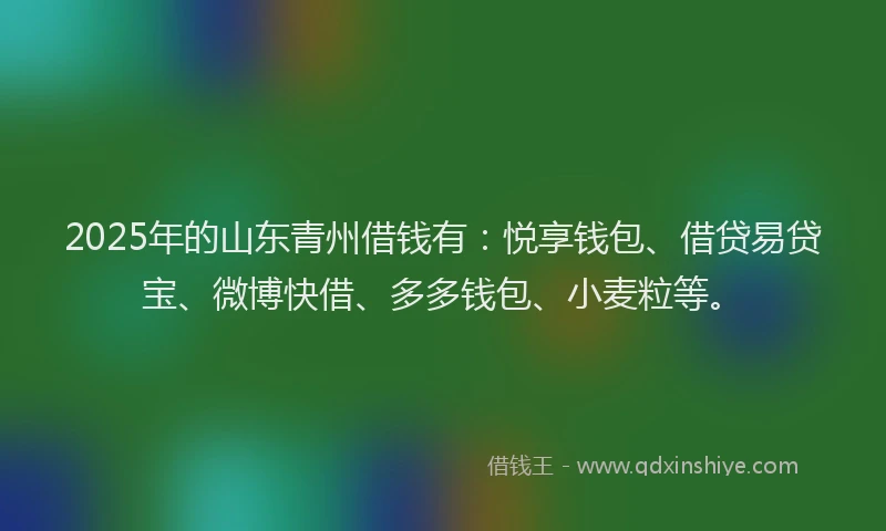 2025年的山东青州借钱有：悦享钱包、借贷易贷宝、微博快借、多多钱包、小麦粒等。