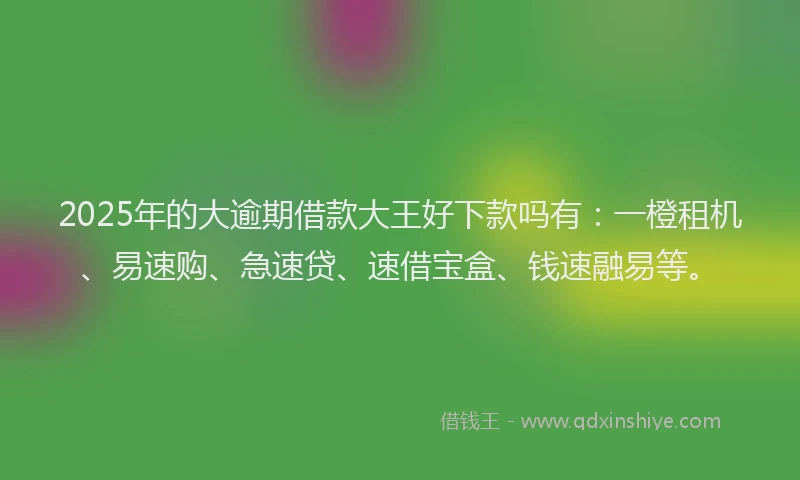2025年的大逾期借款大王好下款吗有：一橙租机、易速购、急速贷、速借宝盒、钱速融易等。