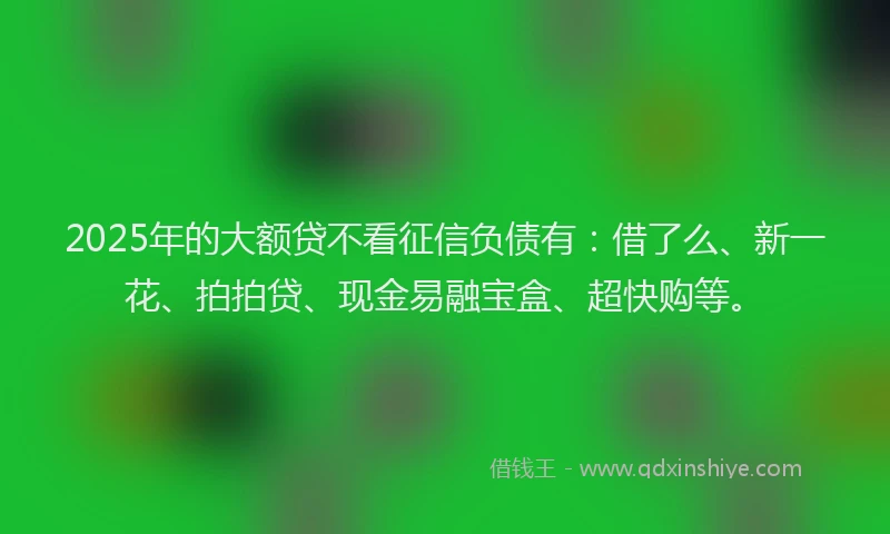 2025年的大额贷不看征信负债有：借了么、新一花、拍拍贷、现金易融宝盒、超快购等。