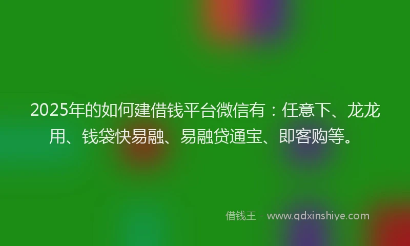 2025年的如何建借钱平台微信有：任意下、龙龙用、钱袋快易融、易融贷通宝、即客购等。