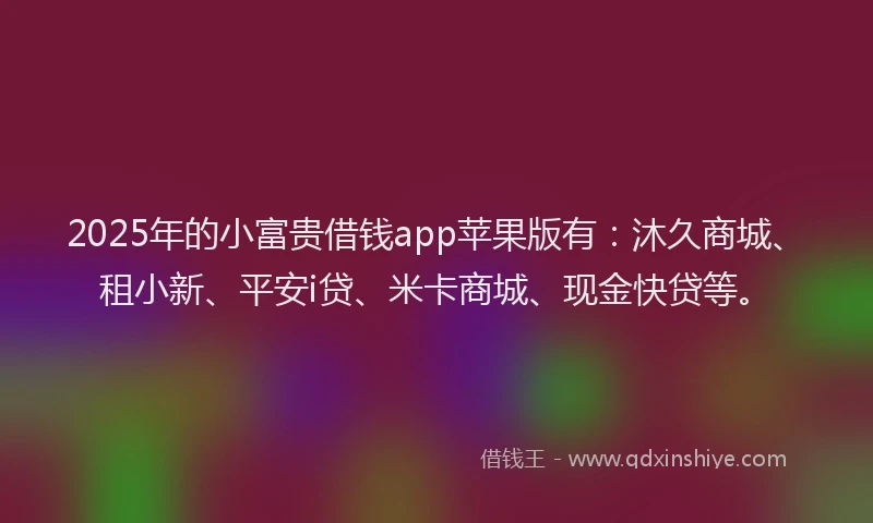 2025年的小富贵借钱app苹果版有：沐久商城、租小新、平安i贷、米卡商城、现金快贷等。