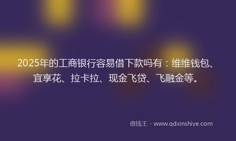 2025年的工商银行容易借下款吗有：维维钱包、宜享花、拉卡拉、现金飞贷、飞融金等。