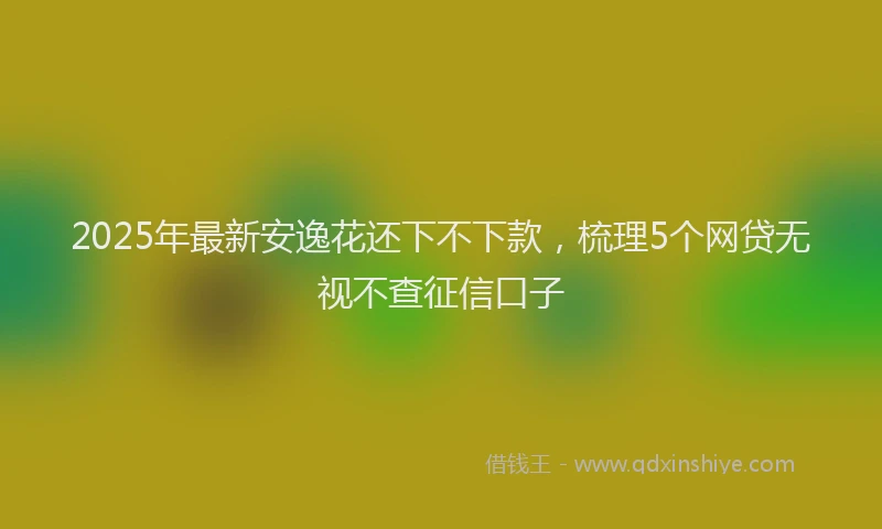 2025年最新安逸花还下不下款，梳理5个网贷无视不查征信口子