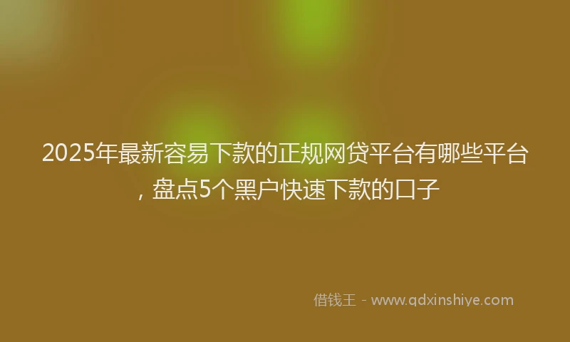 2025年最新容易下款的正规网贷平台有哪些平台，盘点5个黑户快速下款的口子