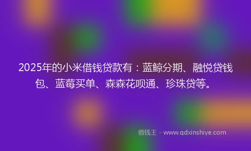 2025年的小米借钱贷款有：蓝鲸分期、融悦贷钱包、蓝莓买单、森森花呗通、珍珠贷等。