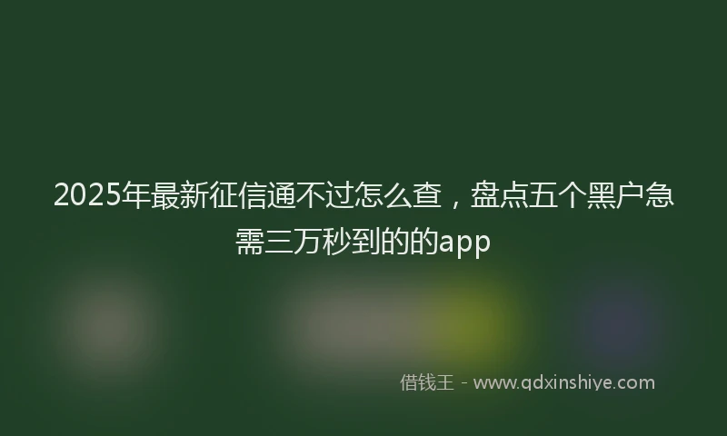 2025年最新征信通不过怎么查，盘点五个黑户急需三万秒到的的app