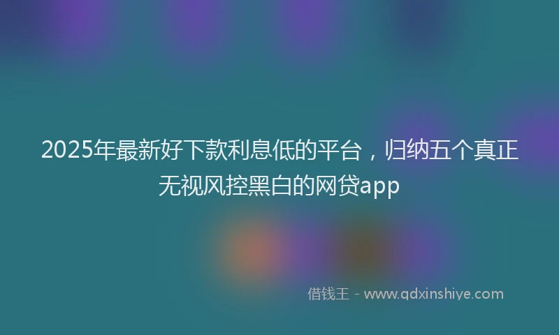 2025年最新好下款利息低的平台，归纳五个真正无视风控黑白的网贷app