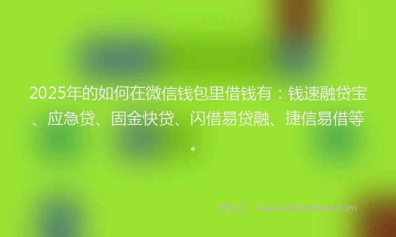 2025年的如何在微信钱包里借钱有：钱速融贷宝、应急贷、固金快贷、闪借易贷融、捷信易借等。