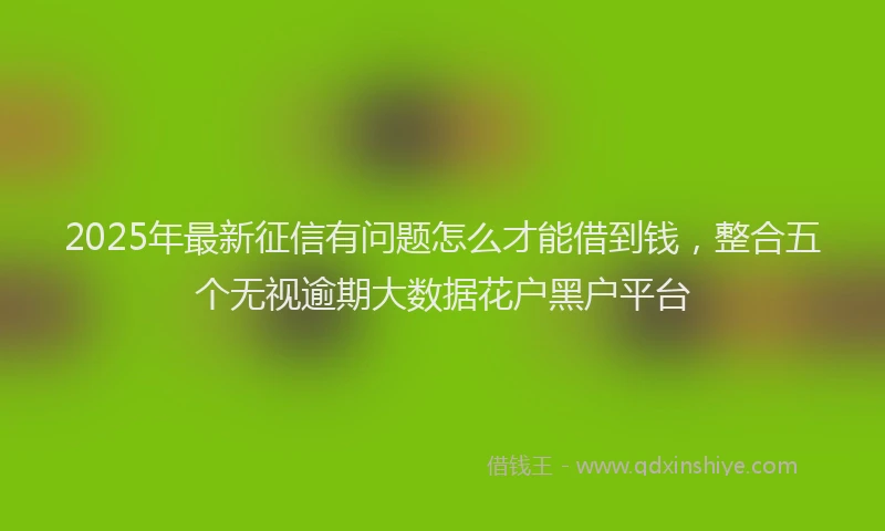2025年最新征信有问题怎么才能借到钱，整合五个无视逾期大数据花户黑户平台