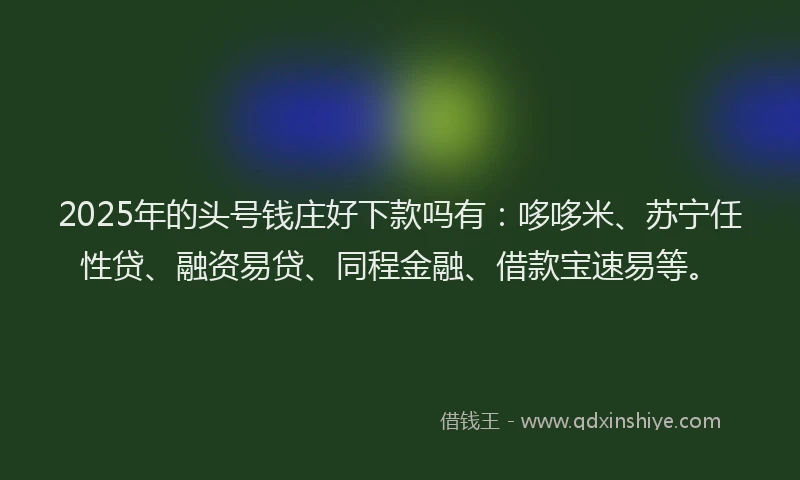 2025年的头号钱庄好下款吗有：哆哆米、苏宁任性贷、融资易贷、同程金融、借款宝速易等。