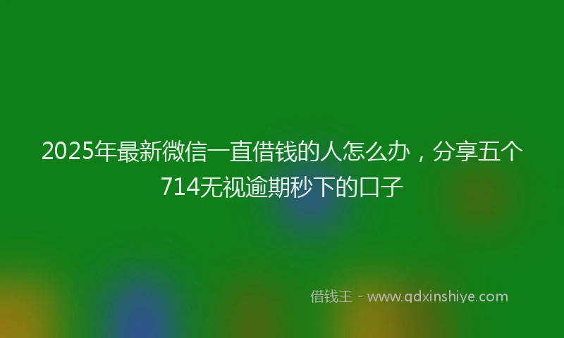 2025年最新微信一直借钱的人怎么办，分享五个714无视逾期秒下的口子