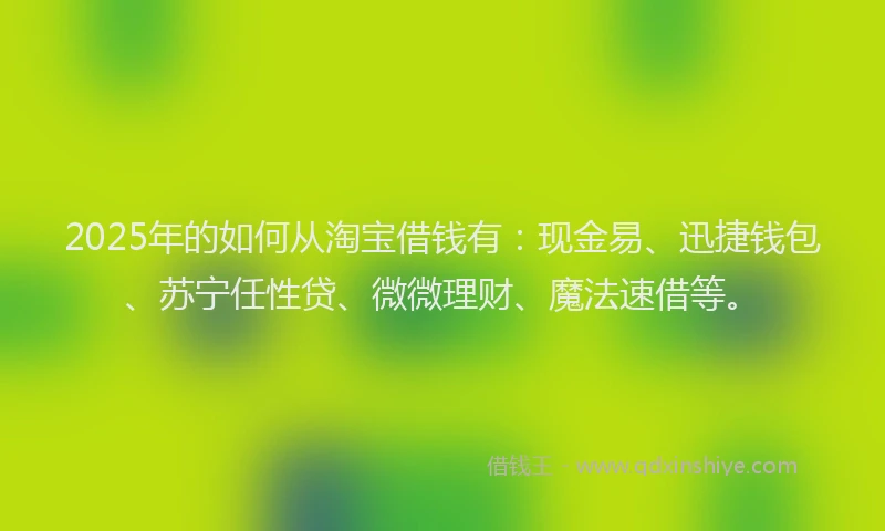 2025年的如何从淘宝借钱有：现金易、迅捷钱包、苏宁任性贷、微微理财、魔法速借等。