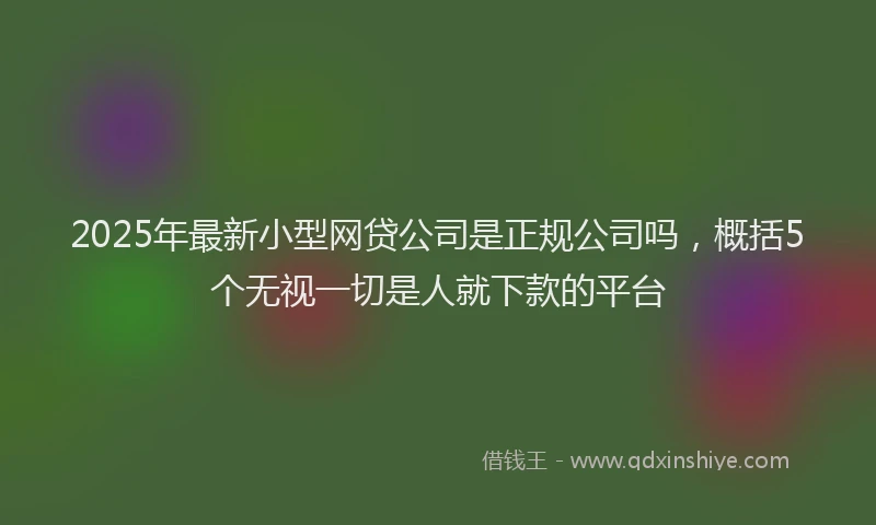 2025年最新小型网贷公司是正规公司吗，概括5个无视一切是人就下款的平台