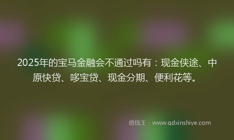 2025年的宝马金融会不通过吗有：现金侠途、中原快贷、哆宝贷、现金分期、便利花等。