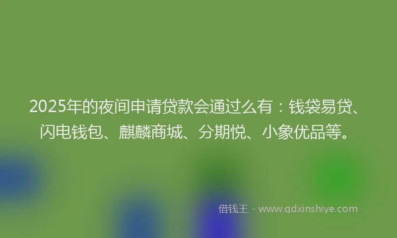 2025年的夜间申请贷款会通过么有：钱袋易贷、闪电钱包、麒麟商城、分期悦、小象优品等。