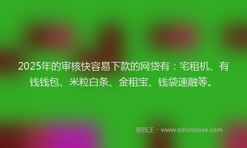 2025年的审核快容易下款的网贷有:宅租机、有钱钱包、米粒白条、金租宝、钱袋速融等。