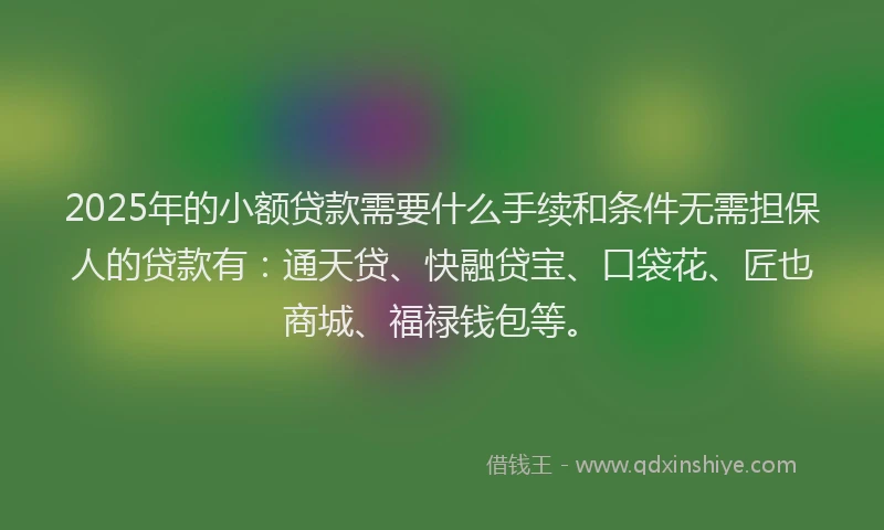 2025年的小额贷款需要什么手续和条件无需担保人的贷款有：通天贷、快融贷宝、口袋花、匠也商城、福禄钱包等。