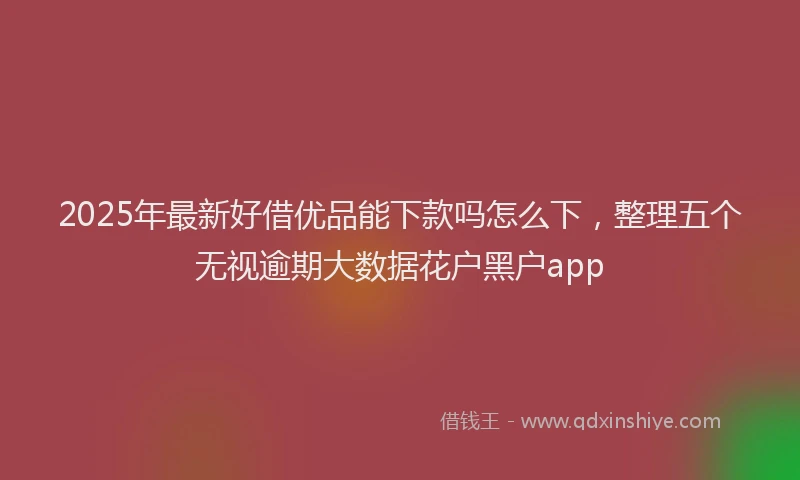 2025年最新好借优品能下款吗怎么下，整理五个无视逾期大数据花户黑户app