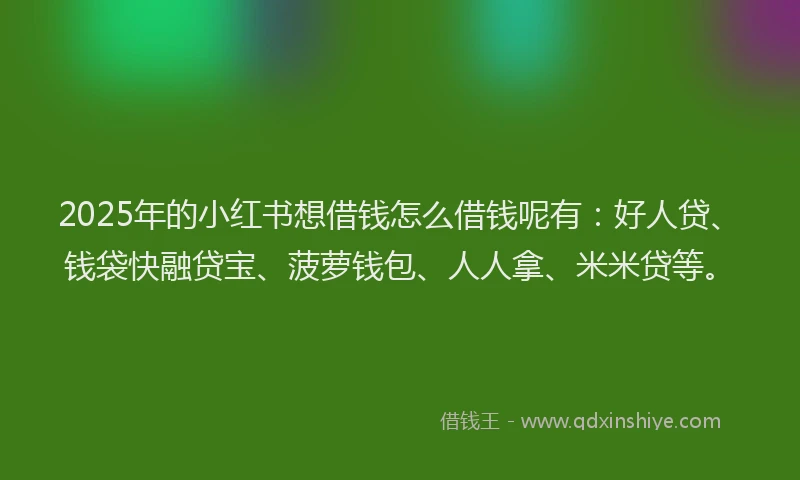 2025年的小红书想借钱怎么借钱呢有：好人贷、钱袋快融贷宝、菠萝钱包、人人拿、米米贷等。