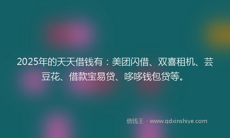 2025年的天天借钱有：美团闪借、双喜租机、芸豆花、借款宝易贷、哆哆钱包贷等。