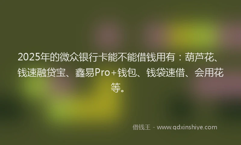 2025年的微众银行卡能不能借钱用有：葫芦花、钱速融贷宝、鑫易Pro+钱包、钱袋速借、会用花等。