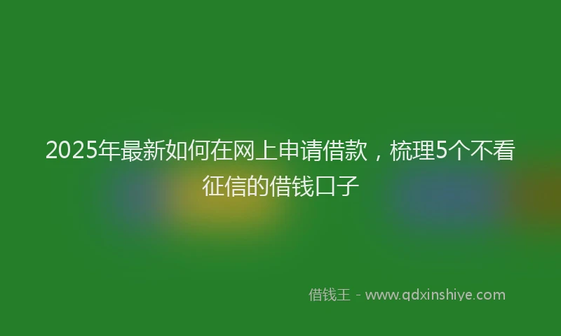 2025年最新如何在网上申请借款，梳理5个不看征信的借钱口子