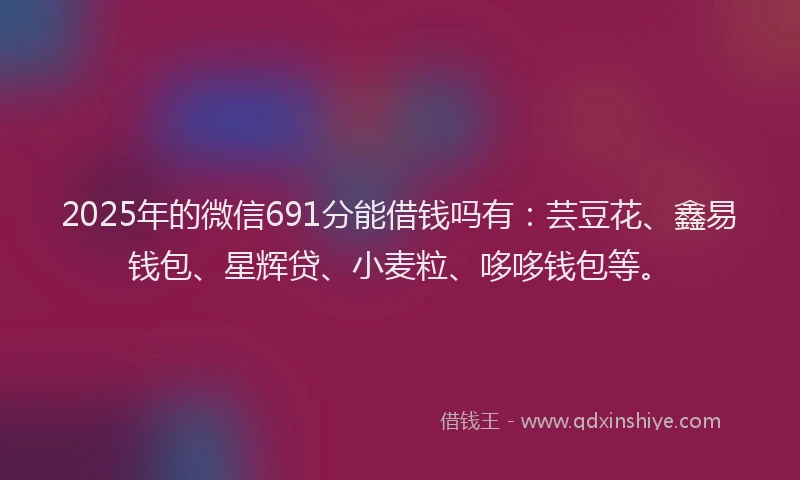 2025年的微信691分能借钱吗有：芸豆花、鑫易钱包、星辉贷、小麦粒、哆哆钱包等。