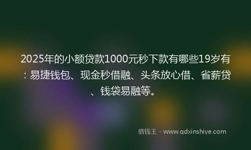2025年的小额贷款1000元秒下款有哪些19岁有:易捷钱包、现金秒借融、头条放心借、省薪贷、钱袋易融等。