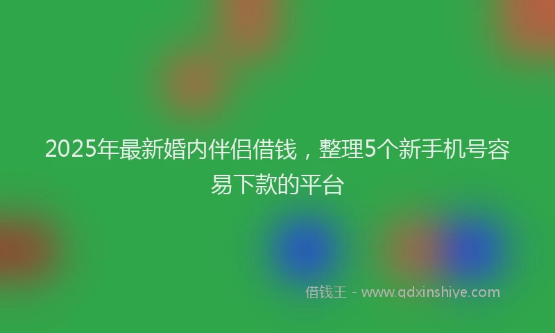 2025年最新婚内伴侣借钱，整理5个新手机号容易下款的平台