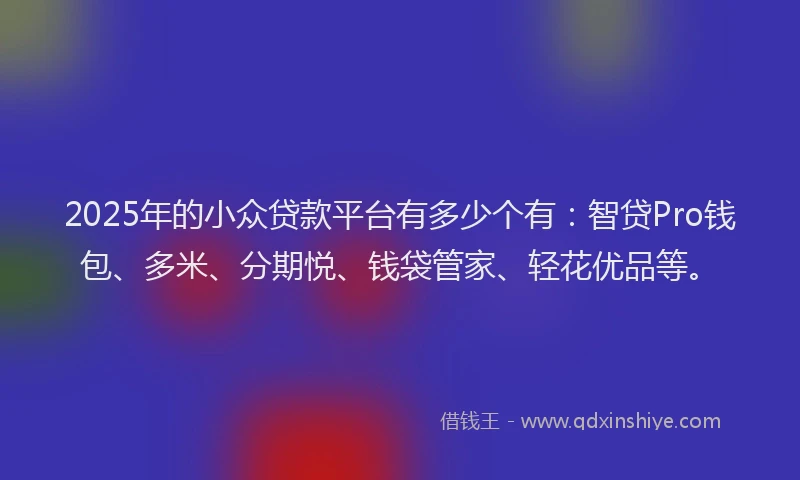 2025年的小众贷款平台有多少个有：智贷Pro钱包、多米、分期悦、钱袋管家、轻花优品等。