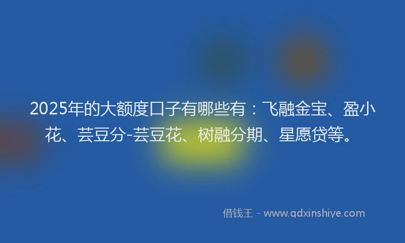 2025年的大额度口子有哪些有：飞融金宝、盈小花、芸豆分-芸豆花、树融分期、星愿贷等。