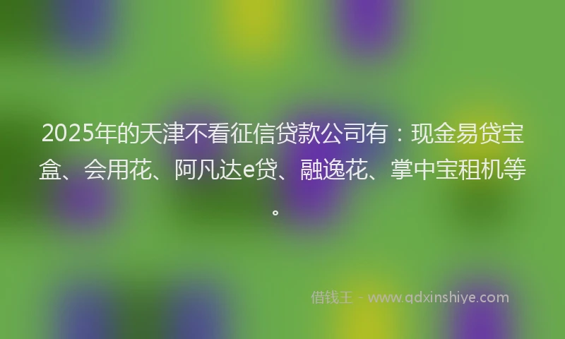 2025年的天津不看征信贷款公司有：现金易贷宝盒、会用花、阿凡达e贷、融逸花、掌中宝租机等。