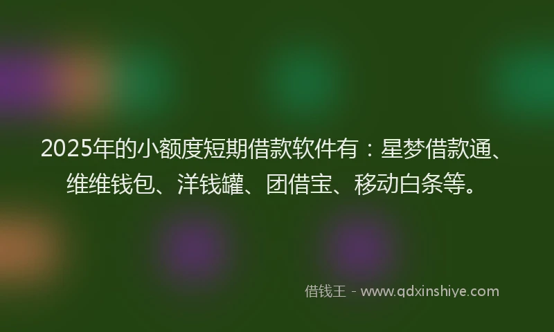 2025年的小额度短期借款软件有：星梦借款通、维维钱包、洋钱罐、团借宝、移动白条等。