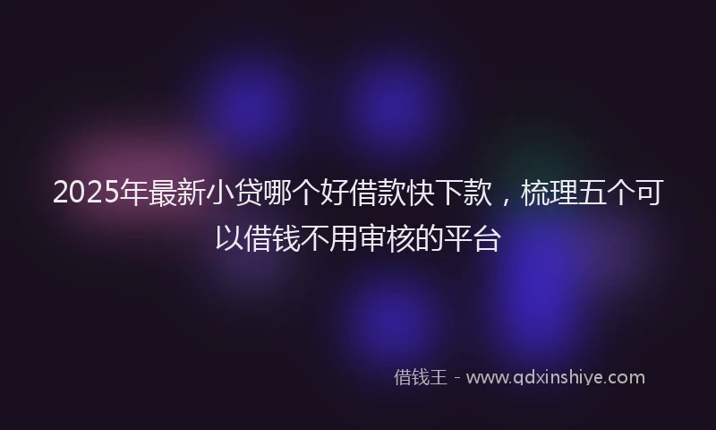 2025年最新小贷哪个好借款快下款，梳理五个可以借钱不用审核的平台