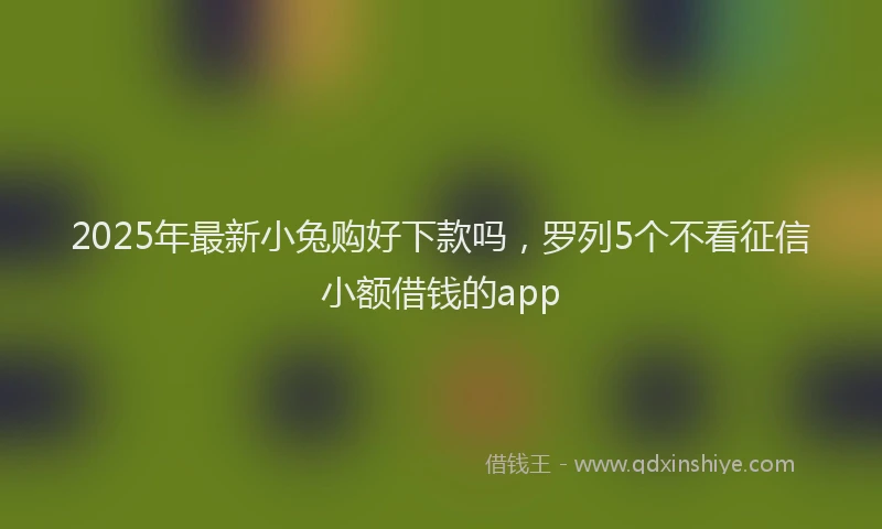 2025年最新小兔购好下款吗，罗列5个不看征信小额借钱的app
