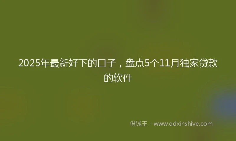 2025年最新好下的口子，盘点5个11月独家贷款的软件