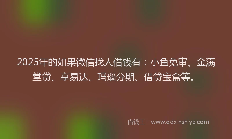 2025年的如果微信找人借钱有：小鱼免审、金满堂贷、享易达、玛瑙分期、借贷宝盒等。