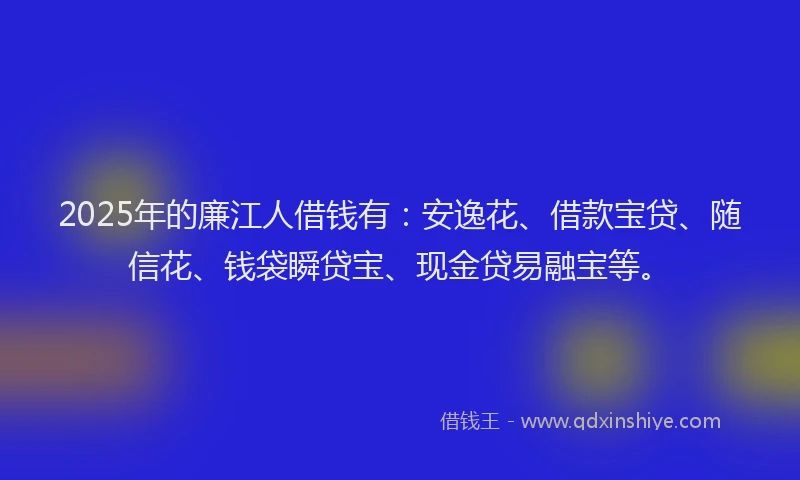 2025年的廉江人借钱有：安逸花、借款宝贷、随信花、钱袋瞬贷宝、现金贷易融宝等。