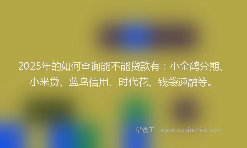 2025年的如何查询能不能贷款有：小金鹤分期、小米贷、蓝鸟信用、时代花、钱袋速融等。
