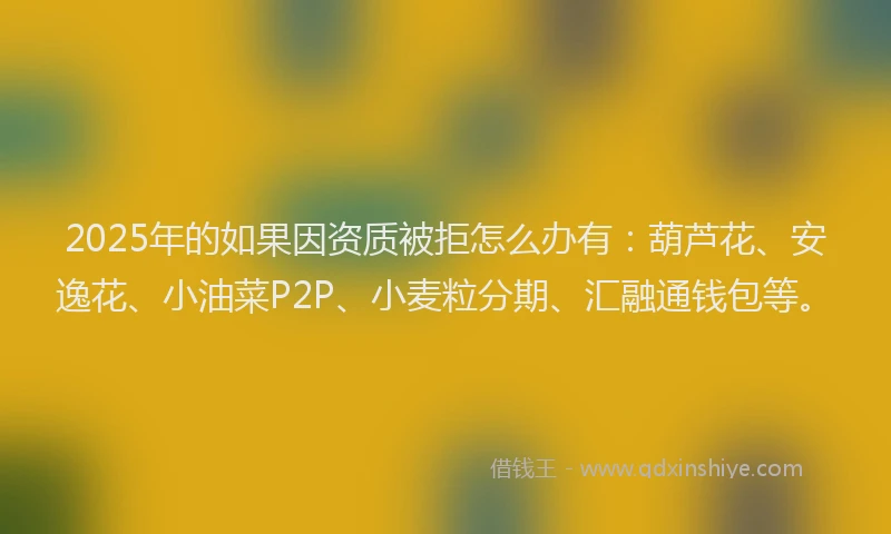 2025年的如果因资质被拒怎么办有：葫芦花、安逸花、小油菜P2P、小麦粒分期、汇融通钱包等。