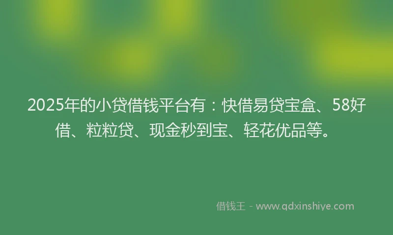 2025年的小贷借钱平台有：快借易贷宝盒、58好借、粒粒贷、现金秒到宝、轻花优品等。
