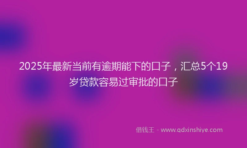 2025年最新当前有逾期能下的口子，汇总5个19岁贷款容易过审批的口子