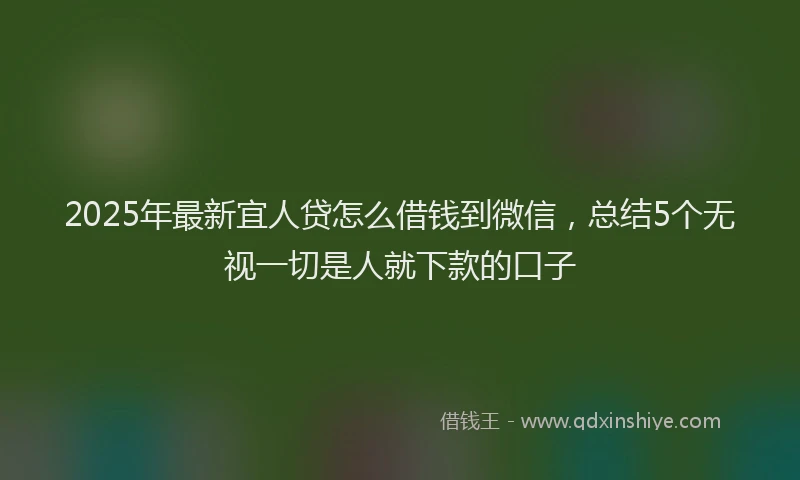 2025年最新宜人贷怎么借钱到微信，总结5个无视一切是人就下款的口子