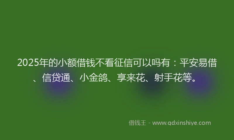 2025年的小额借钱不看征信可以吗有：平安易借、信贷通、小金鸽、享来花、射手花等。
