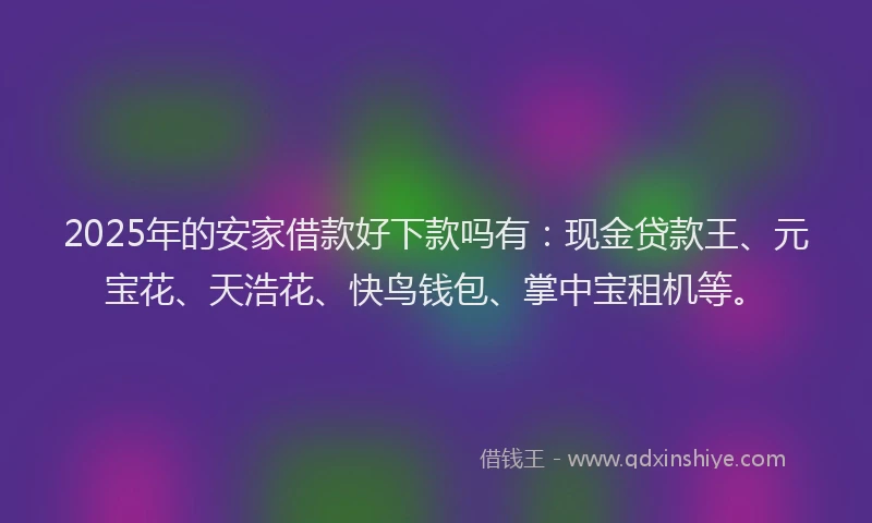 2025年的安家借款好下款吗有：现金贷款王、元宝花、天浩花、快鸟钱包、掌中宝租机等。