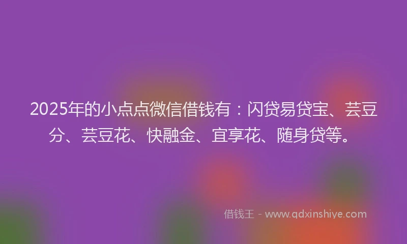 2025年的小点点微信借钱有：闪贷易贷宝、芸豆分、芸豆花、快融金、宜享花、随身贷等。