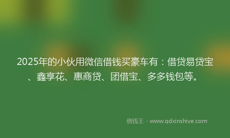 2025年的小伙用微信借钱买豪车有：借贷易贷宝、鑫享花、惠商贷、团借宝、多多钱包等。