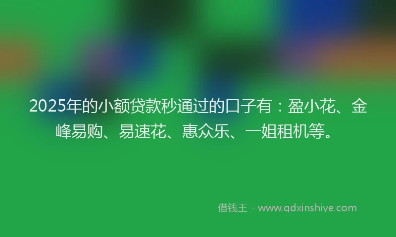 2025年的小额贷款秒通过的口子有：盈小花、金峰易购、易速花、惠众乐、一姐租机等。